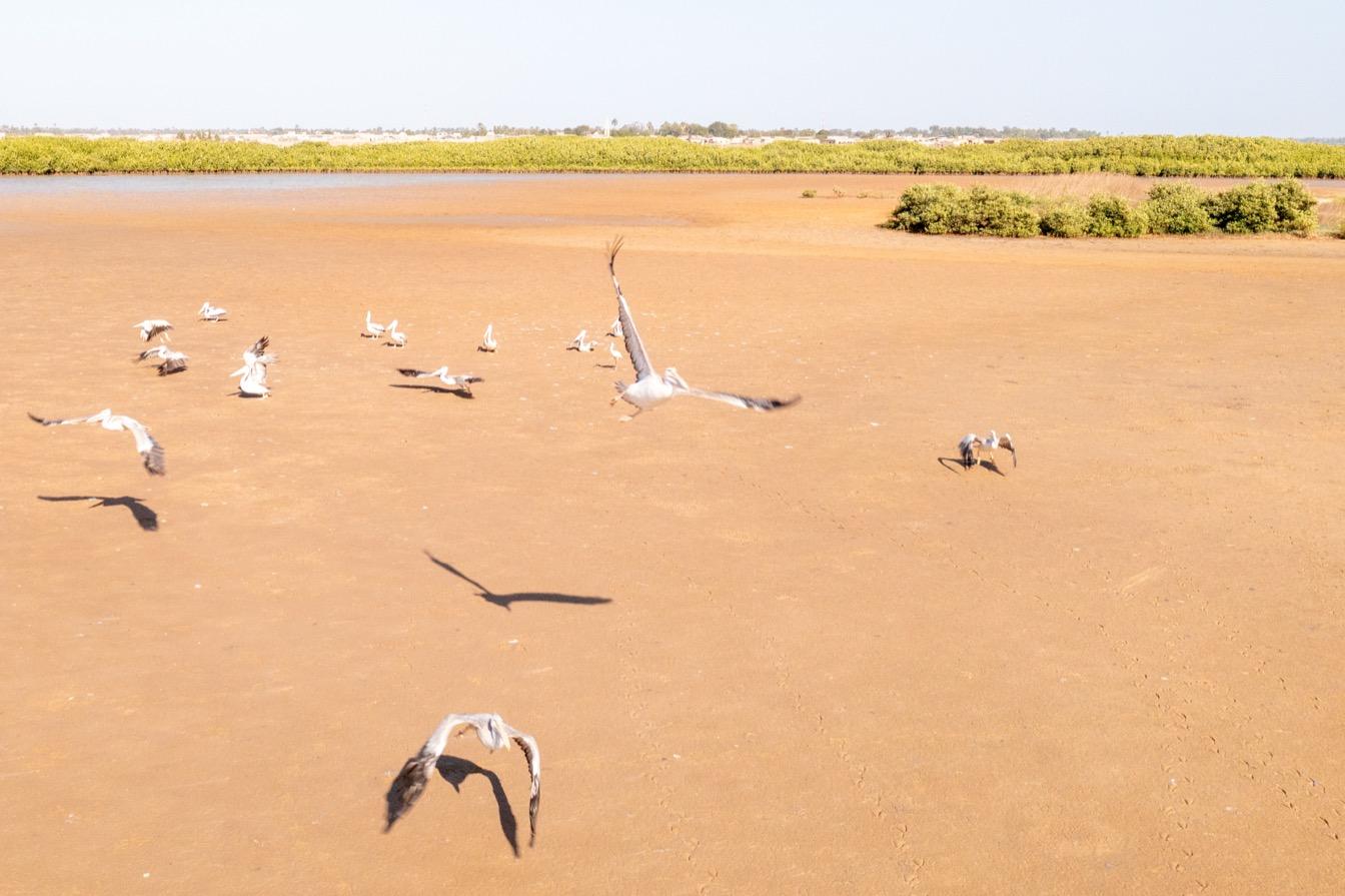 heritage culturel millenaire Saloum